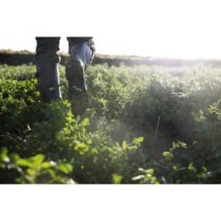 Rubberlaarzen Met Plooi 520 11 Rubberlaarzen Met Plooi 520 -Quechua Schoenen Verkoopwinkel rubberlaarzen met plooi 520 5